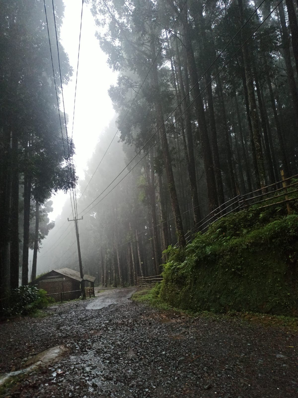 Pemandangan Cidahu Camping Ground